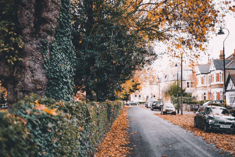 Tree-lined street in one of Edmonton's hidden gem neighbourhoods