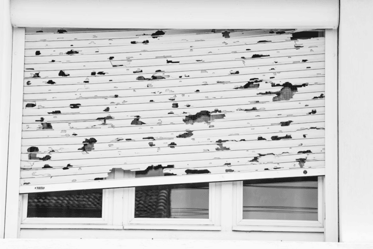 Hail-damaged asphalt shingle roof on an Edmonton home with dented, bruised shingles