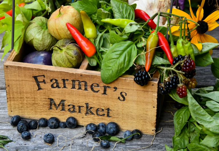 Fresh produce and vendor stalls at an Edmonton farmers market on a sunny weekend