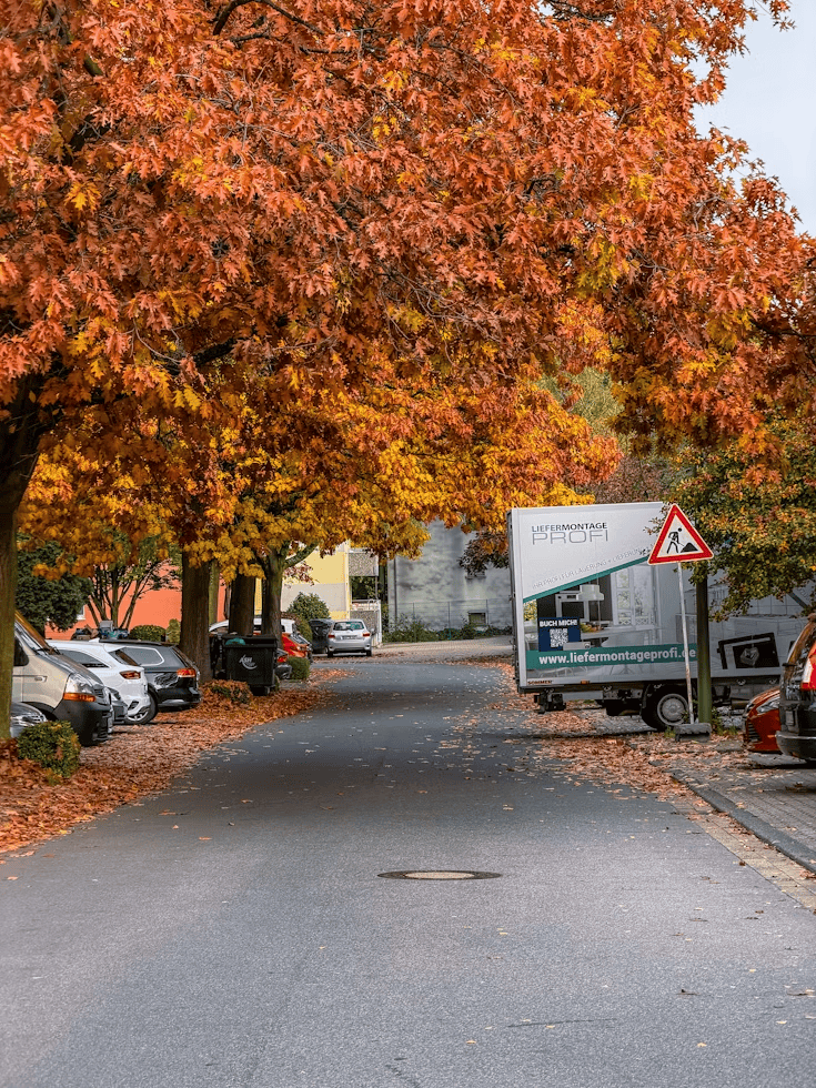 Family walking a tree lined street in one of the best communities in Edmonton for families